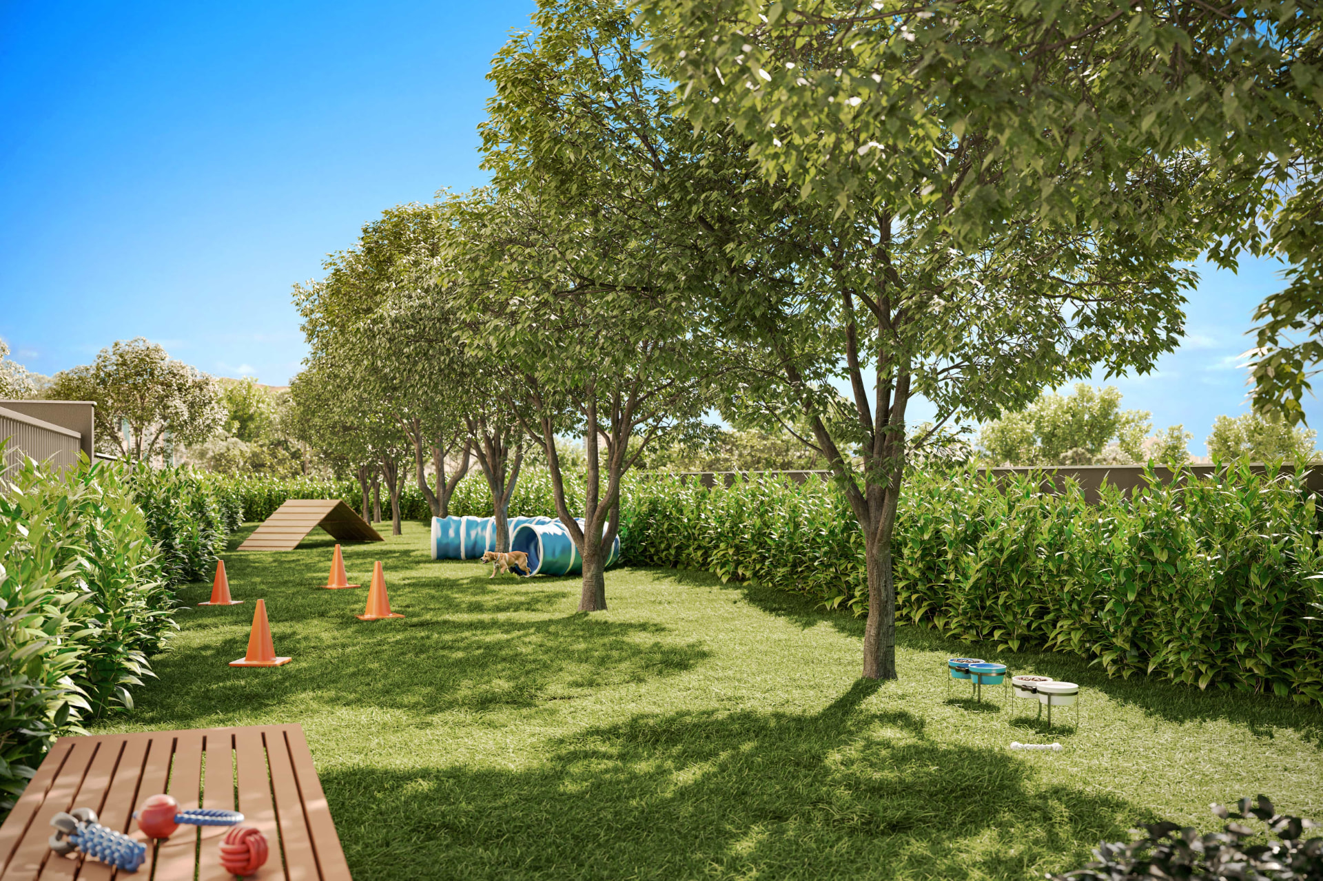 Pet place com gramado e circuito de agility